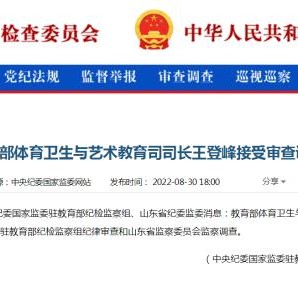 开云APP-教育部体育卫生与艺术教育司司长王登峰被查